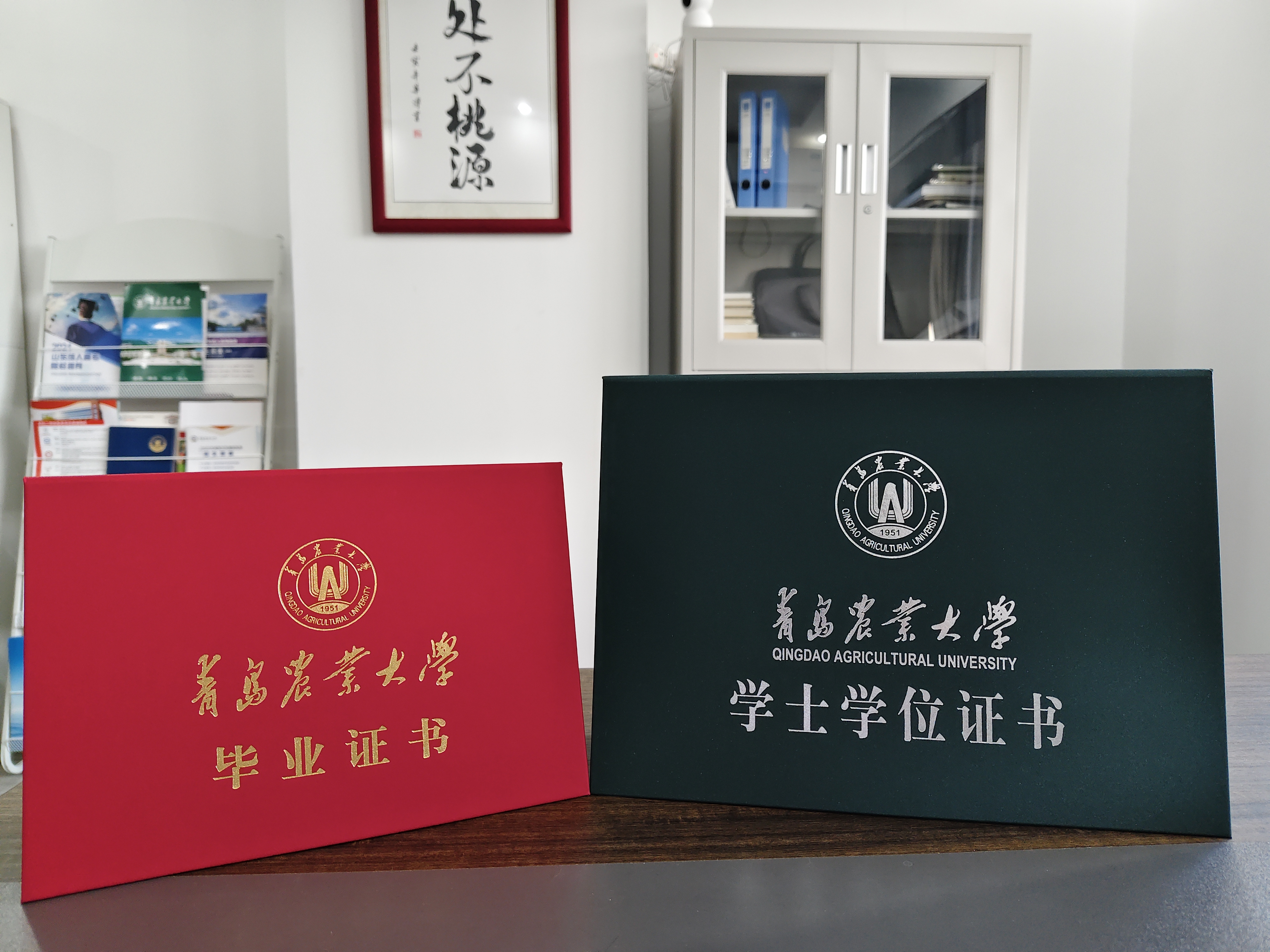 鍥剧墖 2