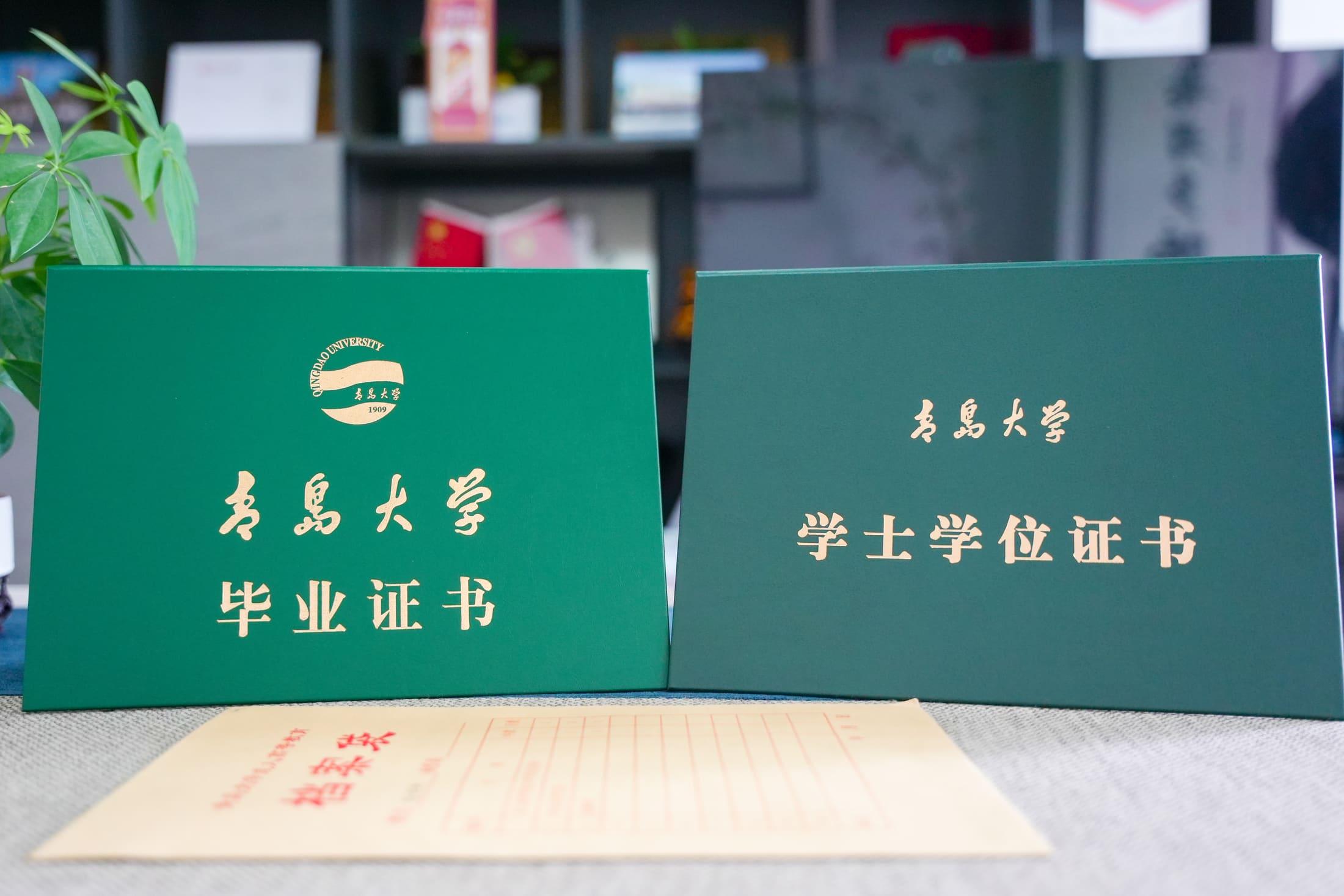 鍥剧墖 2